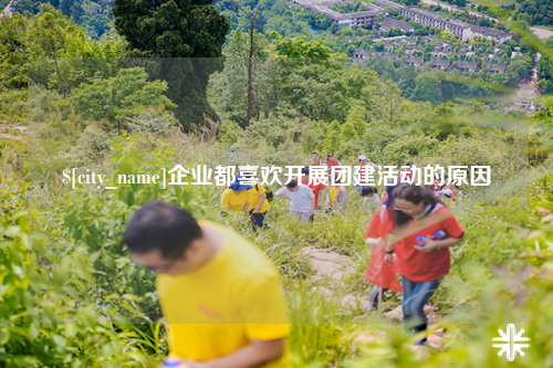 林芝企业都喜欢开展团建活动的原因